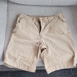 American Eagle Outfitters Tan Flat Front Shorts